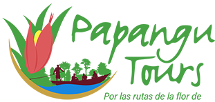 Logo definitivo papangu. pequeño