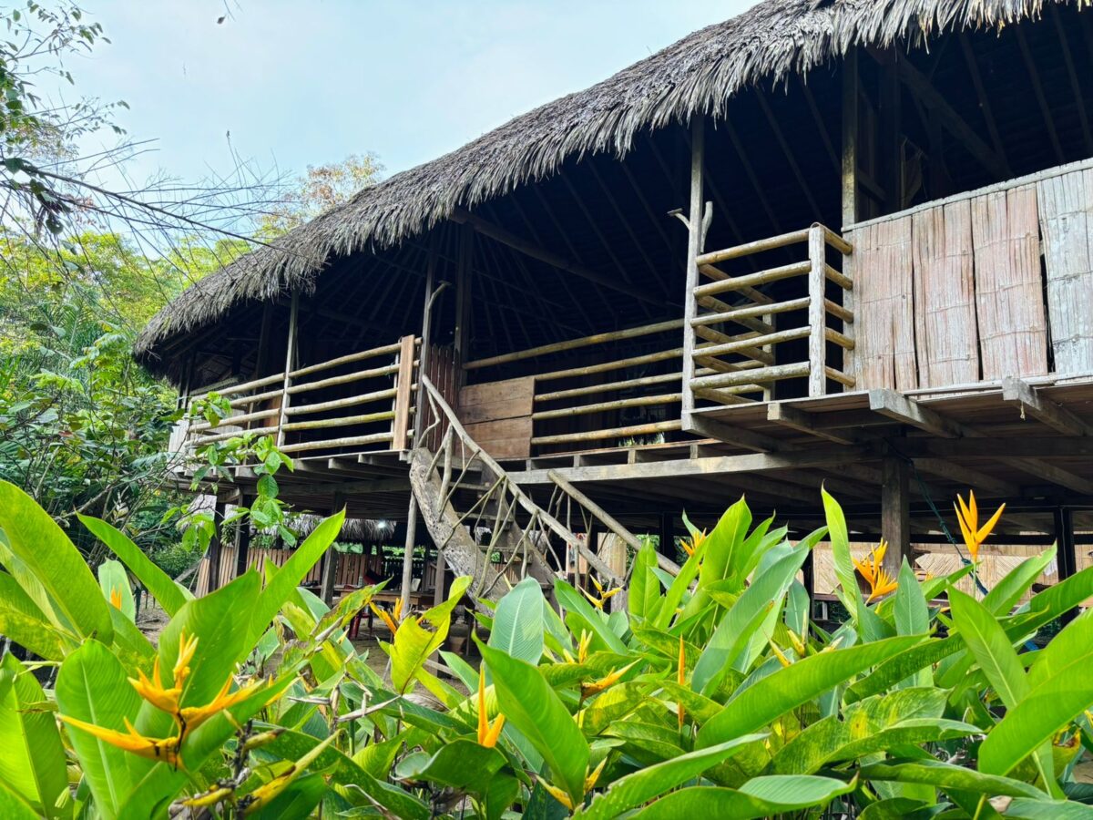 Casa kichwa, papangutours